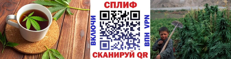 Cannafood марихуана  hydra рабочий сайт  Суздаль 