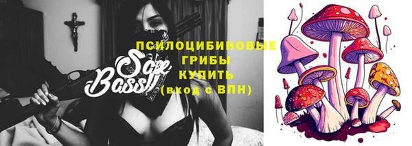 меф Няндома
