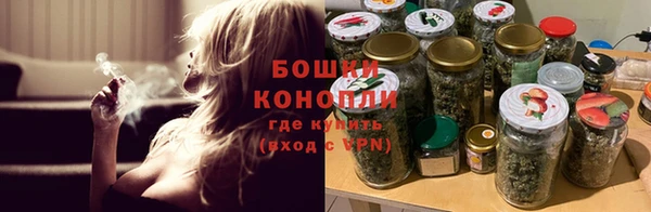 дживик Нягань