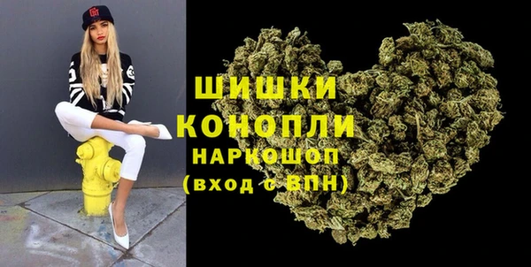 меф Няндома